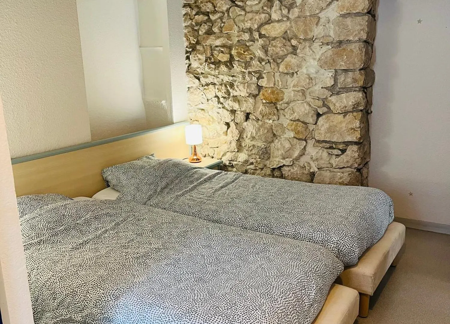 Le Jorjane Hotel Choranche 0*,  France